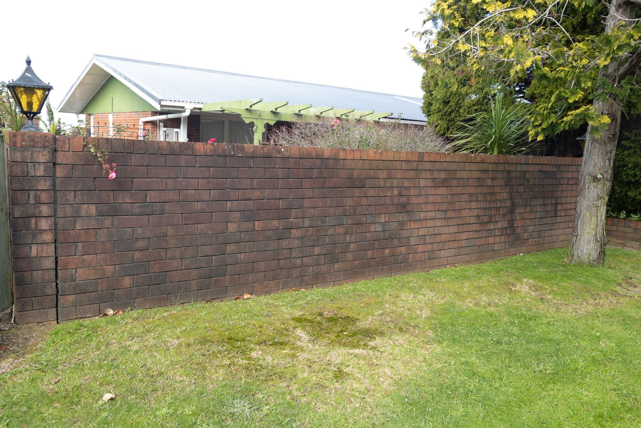 Brick fence before cleaning